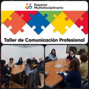 Taller de Comunicación Profesional